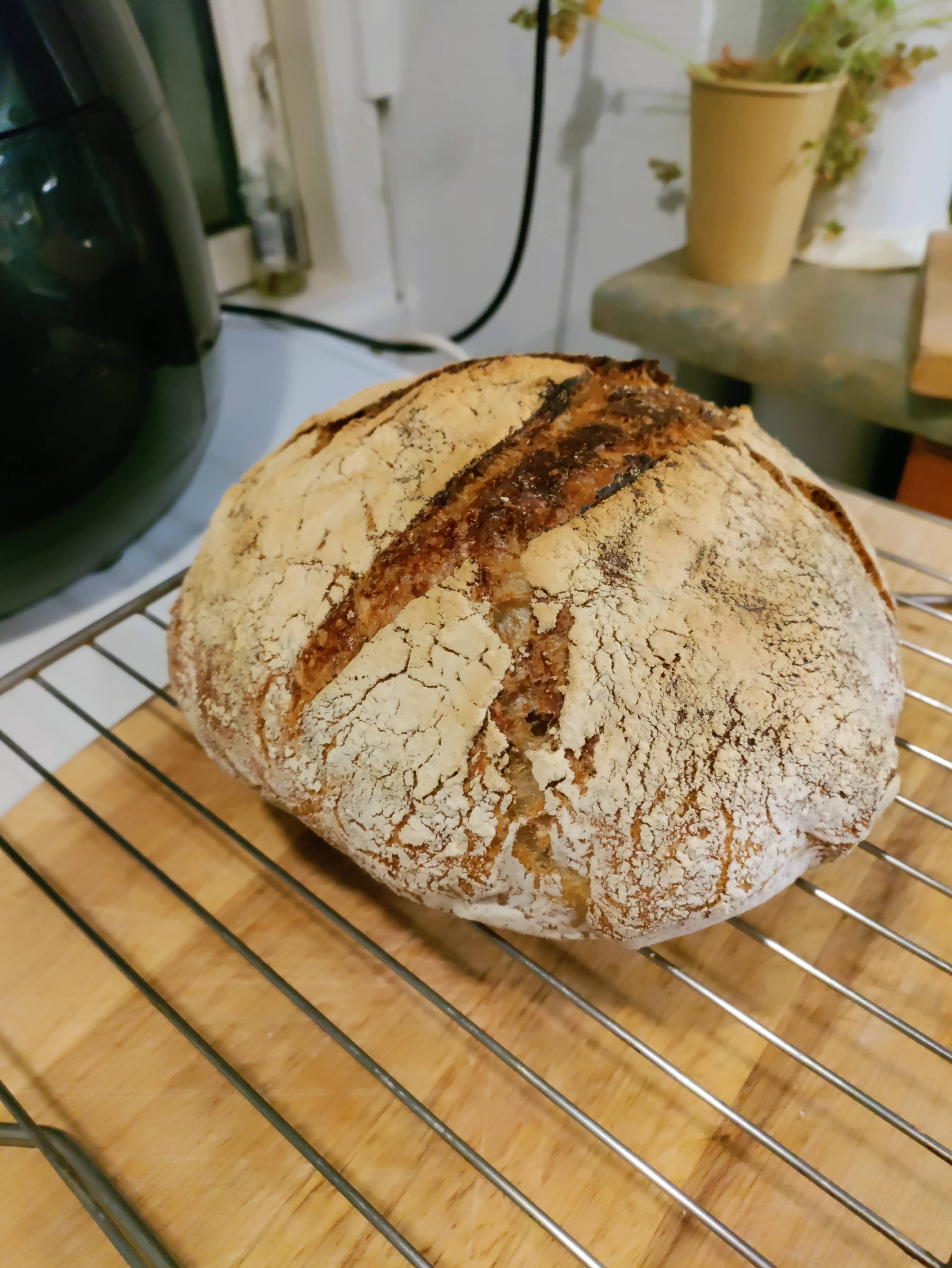 Country Sourdough