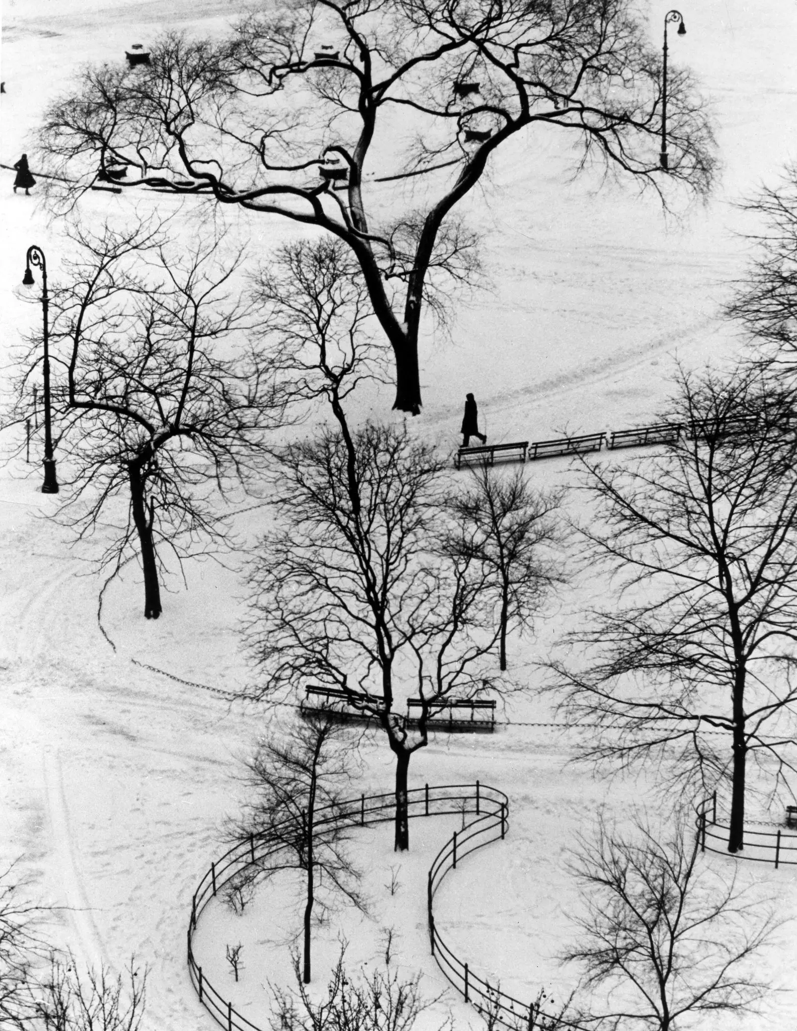 Andre Kertesz  Washington Square Park